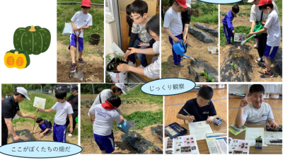 小　畑